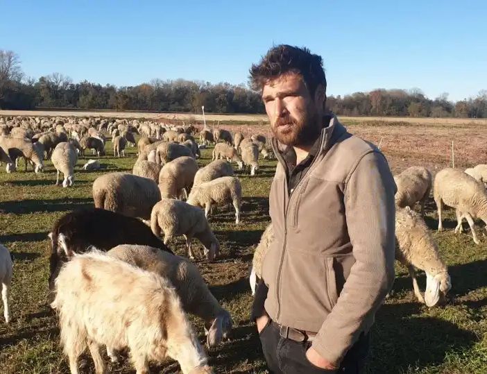 LA STORIA. Morgan e la sua vita da pastore, tra gli alpeggi e la pianura del Magentino: “Non cambierei il mio lavoro per niente al mondo”