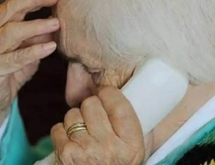 Truffava anziani a Cremona fingendosi Carabiniere: arrestato dai carabinieri
