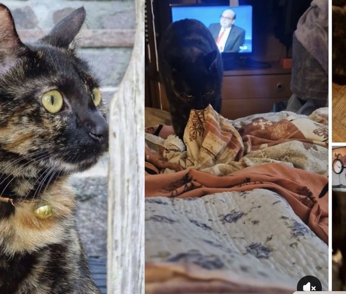 Kika e a destra le immagini della sua gioia a casa
