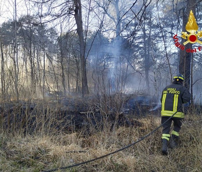 Brucia il bosco al parco delle Groane: in fumo diecimila metri quadri di vegetazione