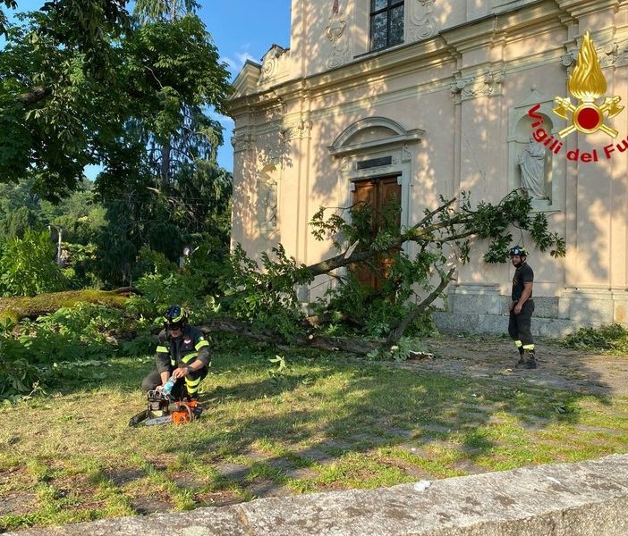 L'albero rovinato al suolo (foto vigili del fuoco e LuinoNotizie.it)