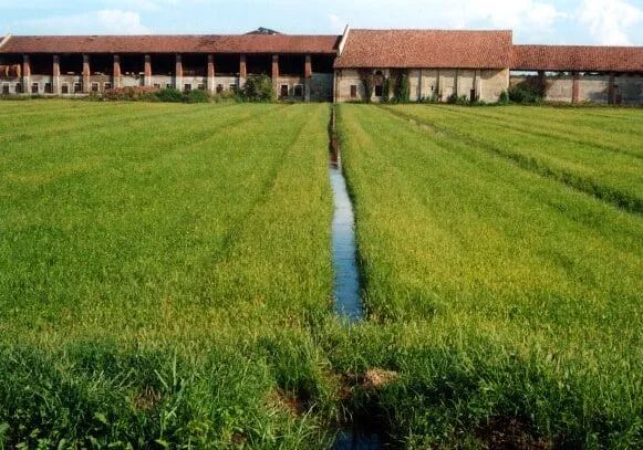Parco Agricolo Sud Milano: accesso vietato alle aree naturalistiche in caso di allerte meteo