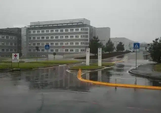 Arluno: investita dall’autoarticolato, donna muore in ospedale