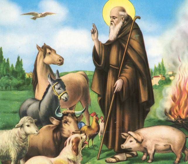 Trecate: domenica si festeggia la ricorrenza di Sant’Antonio Abate