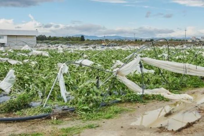 Maltempo, Coldiretti Lombardia: campagne senza tregua