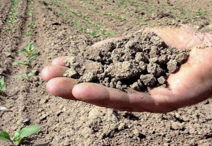 Siccità, Coldiretti al tavolo regionale: «Pronti a fare la nostra parte per salvare raccolti»