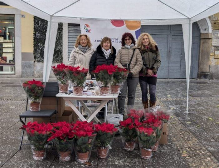 Magenta: &quot;A un passo da te&quot;, la neonata associazione in piazza con le stelle di Natale per sostenere le persone diveramente abili