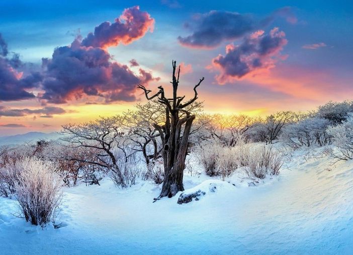 Oggi è il 21 dicembre, solstizio d’inverno: è il giorno più corto dell’anno