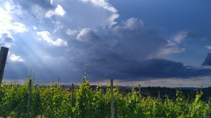 CHE TEMPO FARÀ. Il sole di questa mattina non durerà a lungo. Domenica di nuvole con il rischio di rovesci