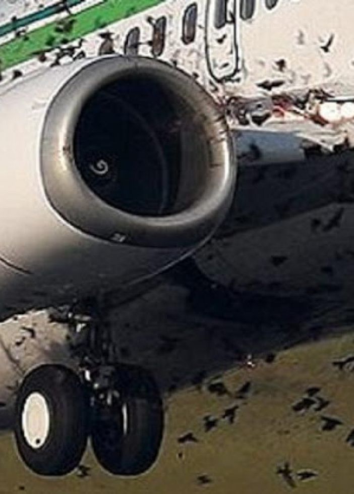 Volo Milano-Palermo &quot;colpito&quot; da stormo di uccelli rientra in emergenza a Linate