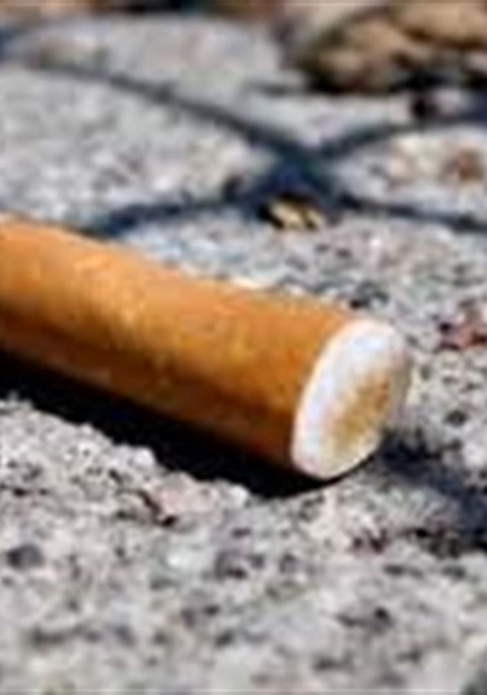 Vigevano: la classe 4A dell'istituto Caramuel-Roncalli a &quot;caccia&quot; di mozziconi per le strade della città