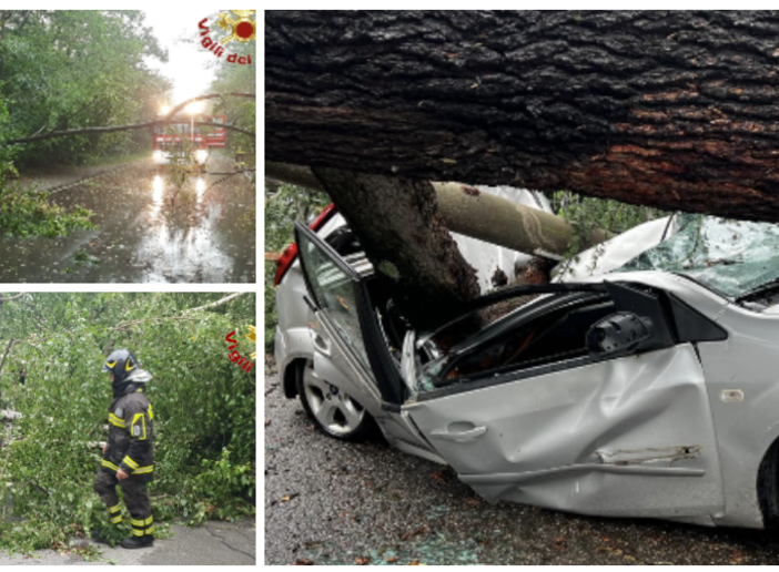 Il maltempo presenta il conto: nel Varesotto 230 interventi di soccorso. Centinaia di alberi caduti e 20 persone soccorse