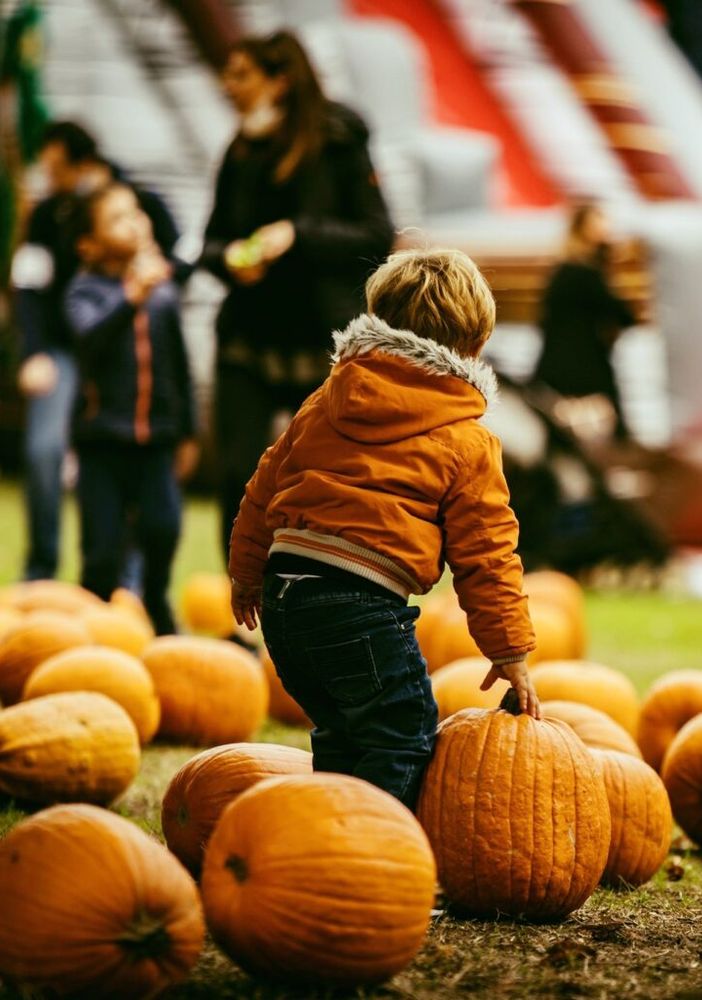 Il saluto del Villaggio: il pumpkin patch alle porte di Pavia si congeda, arrivederci al 2025