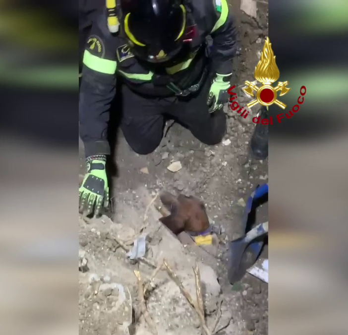 Zavattarello, cane resta intrappolato in un tubo interrato: il video del salvataggio dei Vigili del fuoco