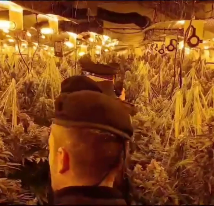 Cozzo: allaccio abusivo alla rete elettrica per coltivare cannabis in un cascinale, arrestate due persone. Le immagini