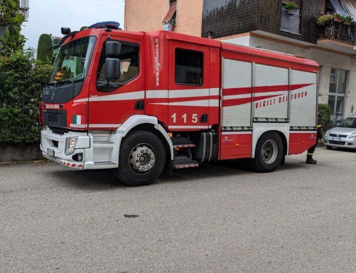 Magenta, sciame d’api in via Sanchioli recuperato dai Vigili del Fuoco