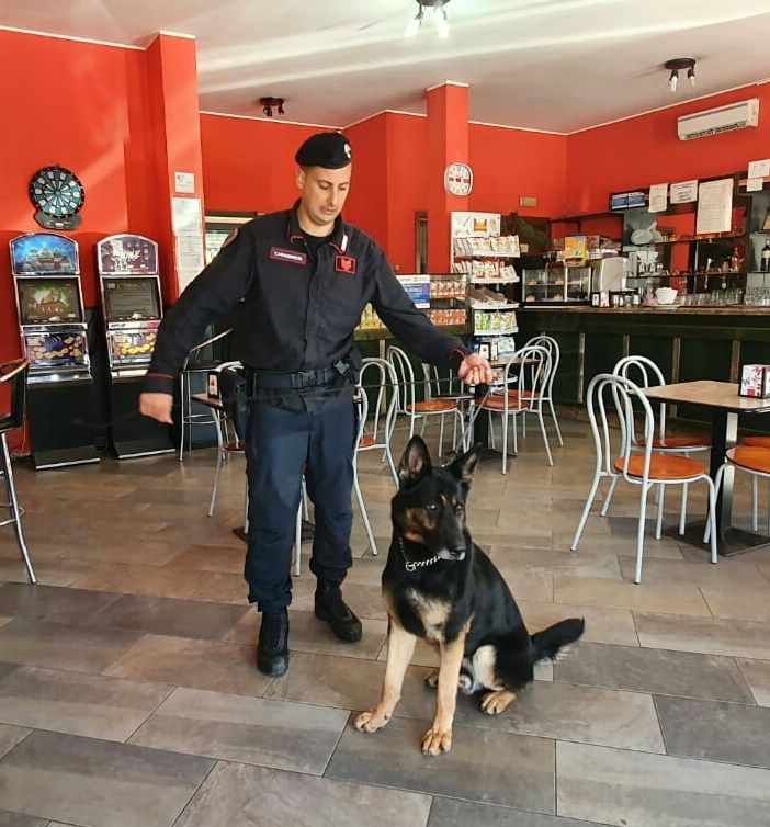 Pavese: controlli effettuati con i cani antidroga, segnalate otto persone