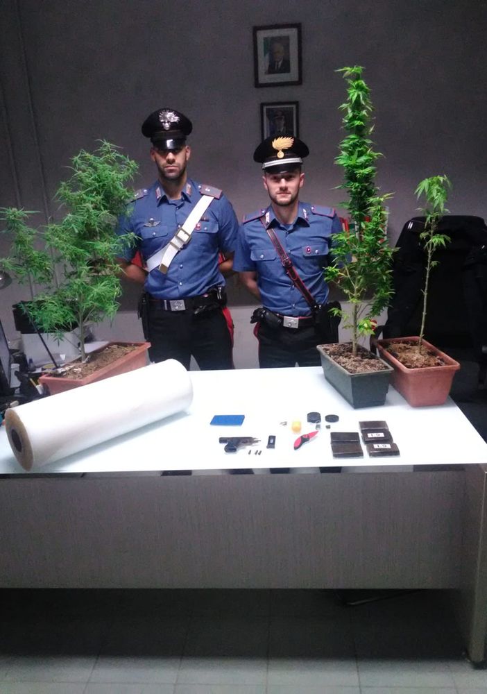 Sannazzaro de' Burgondi: arrestata coppia di spacciatori con oltre mezzo chilo di hashish, piante di marjuana e una pistola