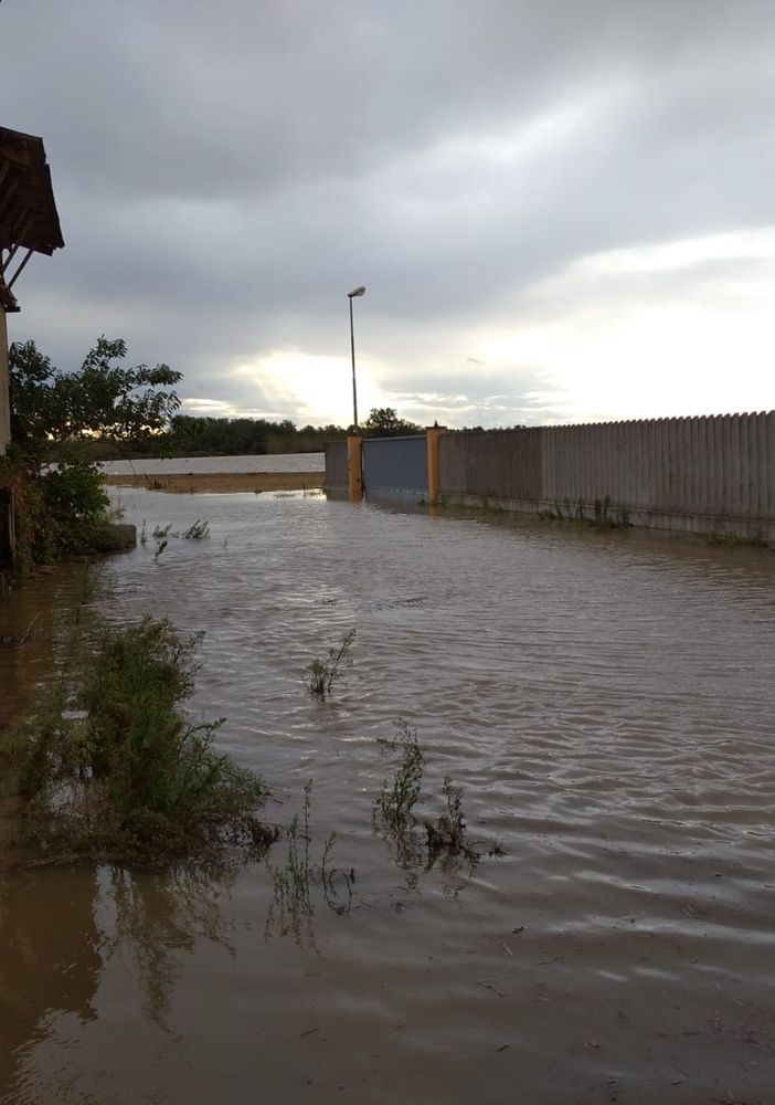 Maltempo, alluvione Sesia: cascine e risaie sommerse in Lomellina