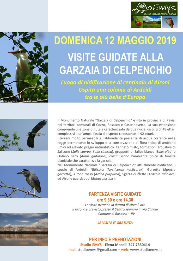 - FOTOEVENTO - a Rosasco domenica 12 maggio, visite guidate alla Garzaia di Celpenchio
