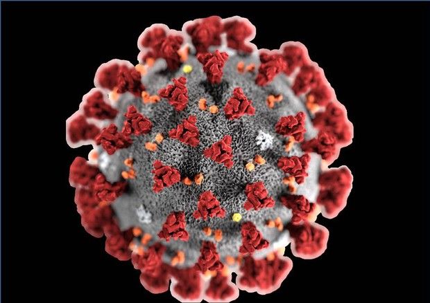 Garlasco aggiornamenti Coronavirus: tra le ventisei persone positive, tre sono guarite