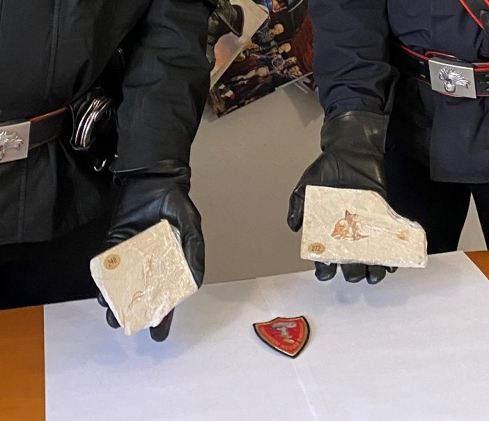 Pavese: recuperati dei fossili di dinosauro in un auto, denunciato un 47enne per ricettazione