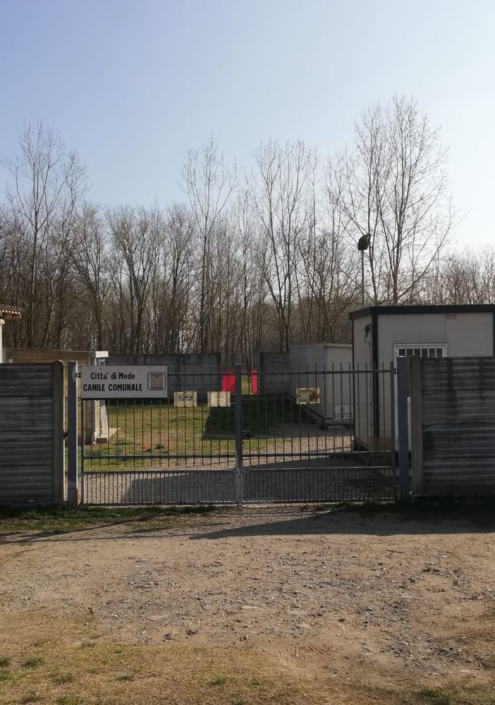 Mede: il canile la &quot;Cuccia&quot; fiore all'occhiello nel panorama lomellino