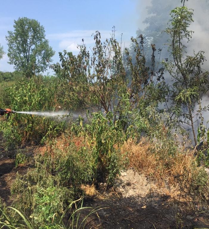 Siccità estiva, Vigili del fuoco impegnati a domare gli incendi delle sterpaglie