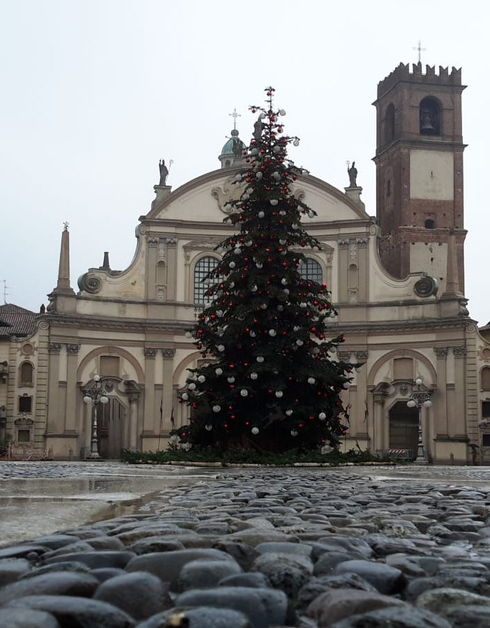 - (FOTOGALLERY) - Vigevano, nel pomeriggio l’installazione dell'albero di Natale in Piazza Ducale