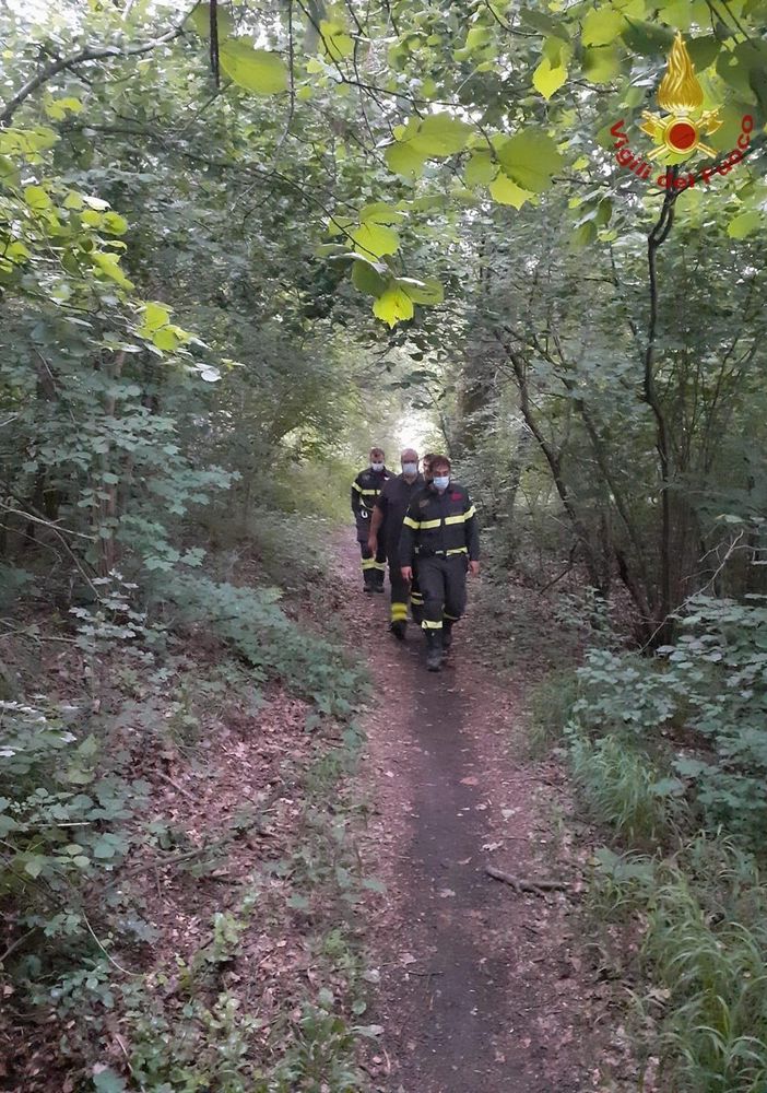 Gambolò: si perde in un bosco mentre cerca funghi, intervengono i Vigili del fuoco e lo ritrovano