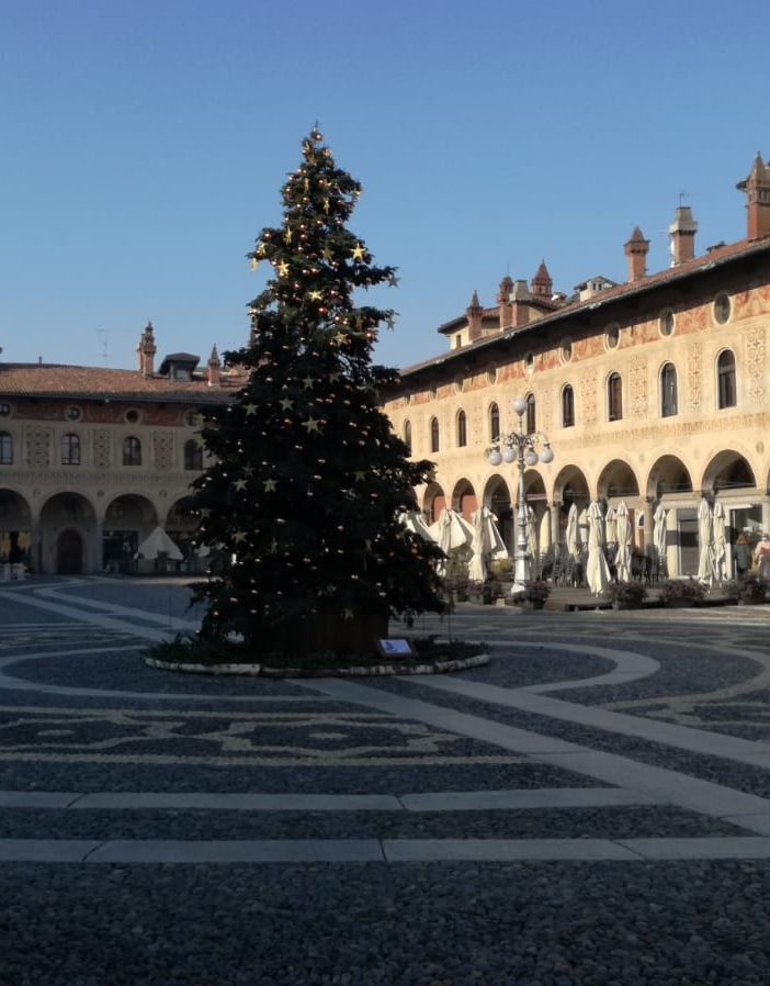 - FOTONOTIZIA - Vigevano: in piazza Ducale è arrivato l'Albero di Natale