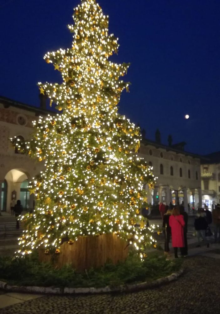 - FOTONOTIZIA - Vigevano: acceso l'Albero di Natale in piazza Ducale
