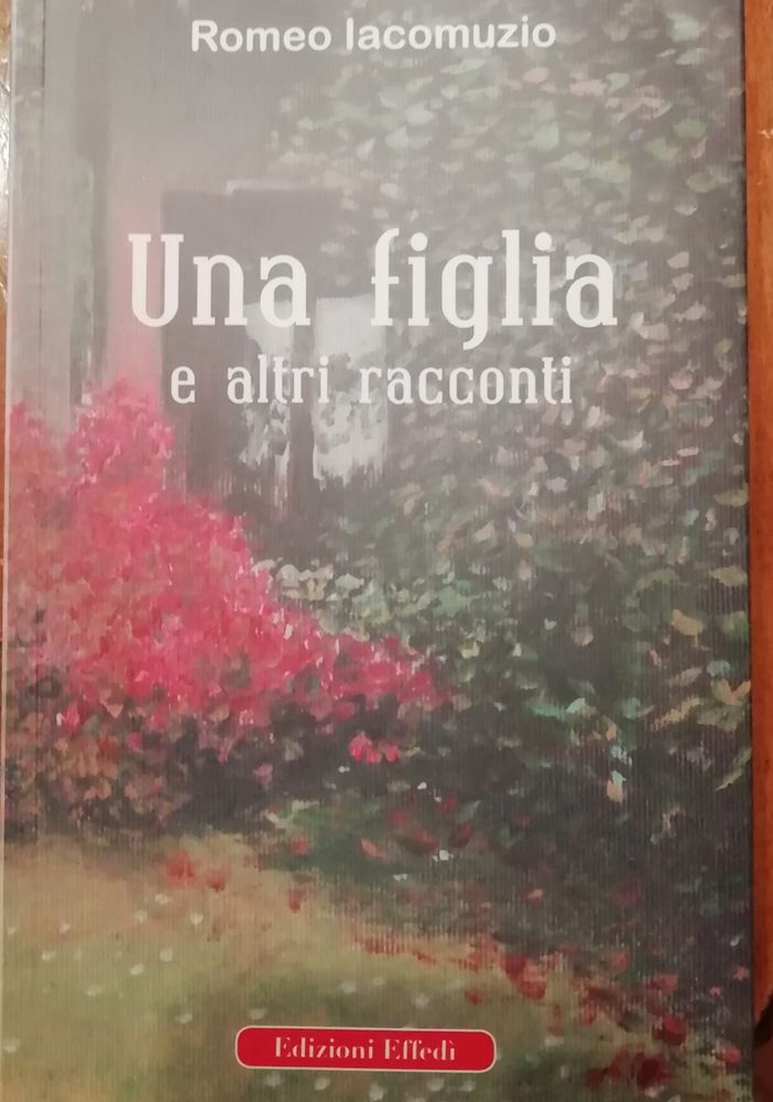 Robbio, da vero “divoratore” di libri a scrittore. A 77 anni Romeo Iacomuzio scrive il suo primo volume