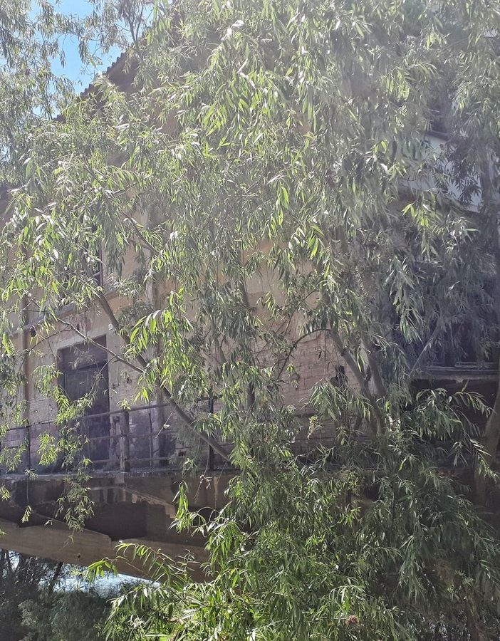Tour “Pavia d’Acqua”