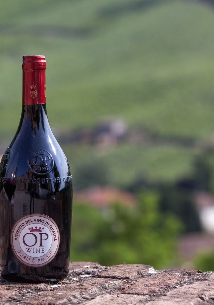 Arrivano i Bonarda Days, i giorni perfetti dedicati al vino storico dell’Oltrepò Pavese