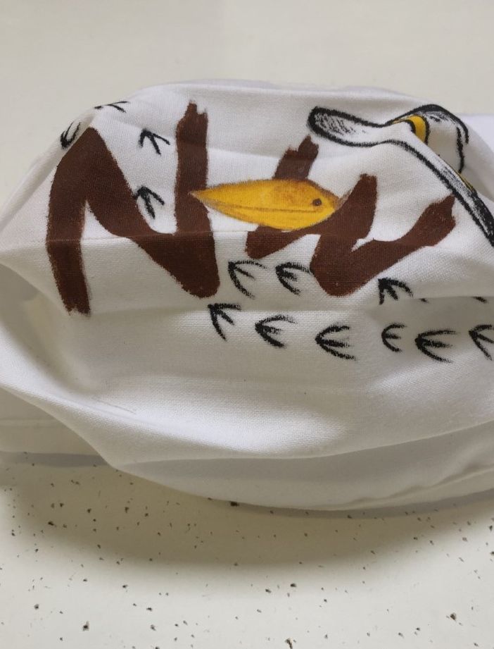 Il canarino “Nelson Whitman” porta le sue mascherine ai bambini del San Matteo di Pavia