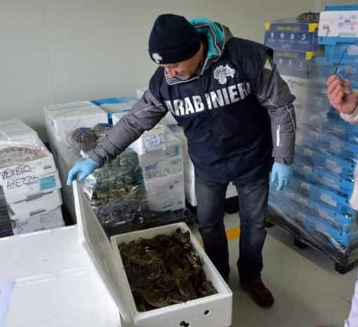 Vigevano: blitz dei Nas in un ristorante cinese sequestrati 850 kili di prodotti alimentari