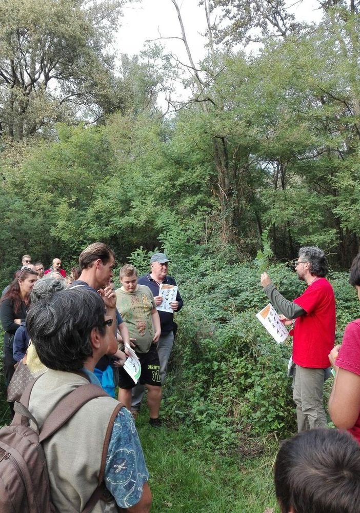 Garlasco, l’oasi del Bosco del Vignolo festeggia i 20 anni di attività
