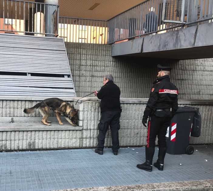 Pavia: denunciato un 18enne e segnalati altri otto giovani consumatori di stupefacenti, durante un controllo dei carabinieri in alcune scuole superiori cittadine