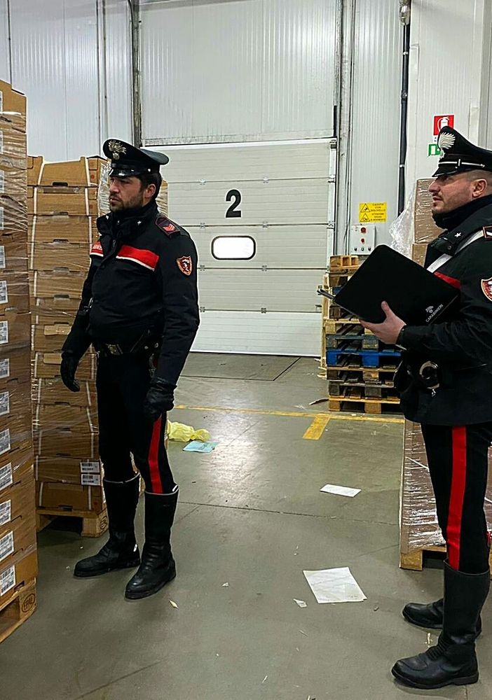 Pavese: truccando sul peso della merce, trafugavano ingenti quantità di pesce dall’azienda del loro datore di lavoro, arrestate tre persone