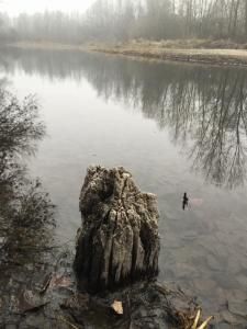 VIGEVANO (STORIA) - I ponti in legno sul Ticino -