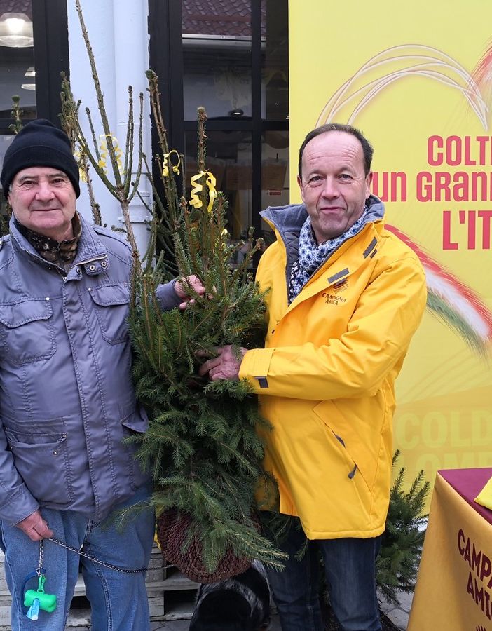 Natale: Coldiretti/Ixè, alberi veri in 3,5 mln di case, 42 euro spesa