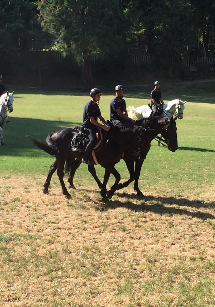 Oltrepo: controlli straordinari a Salice Terme effettuati dai Carabinieri a cavallo