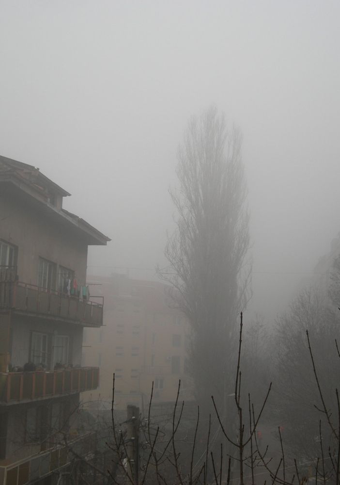 Smog: Coldiretti, spinto da cambiamenti clima -31% pioggia