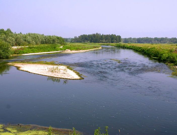 Parco del Ticino Vigevano: Entro fine mese saranno demoliti i pergolati sul fiume