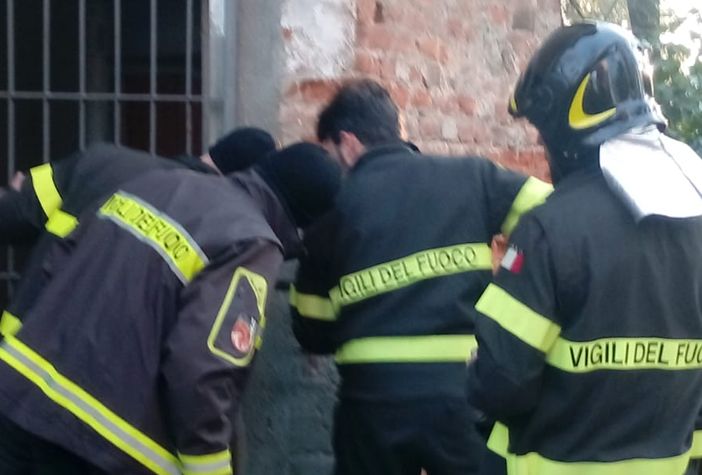 Novi Ligure: incastrato tra le sbarre al Castello, gatto salvato da vigili del fuoco e volontari