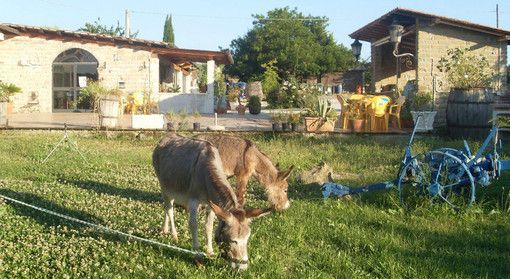 Fase 2, agriturismi: «Ecco il protocollo salva vacanze»