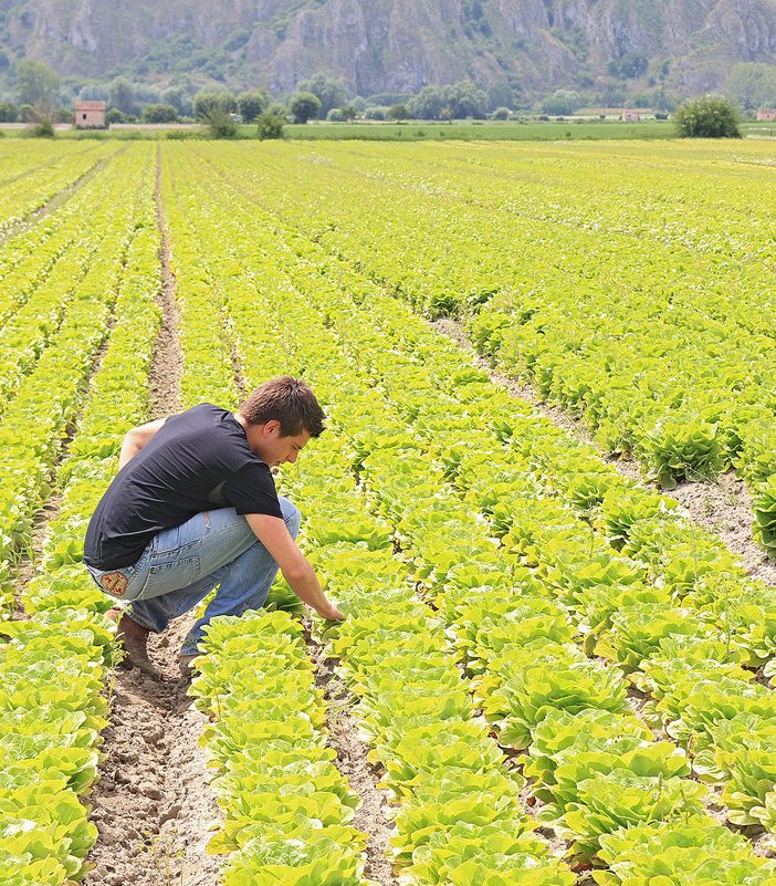 Lavoro, giovani imprese nei campi: in Lombardia ne nasce una al giorno