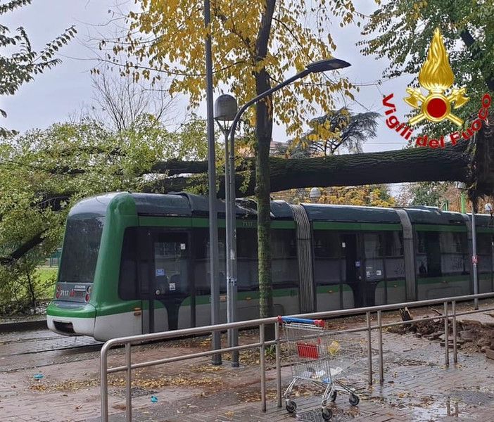 Maltempo anche a Milano: pianta crolla su un tram