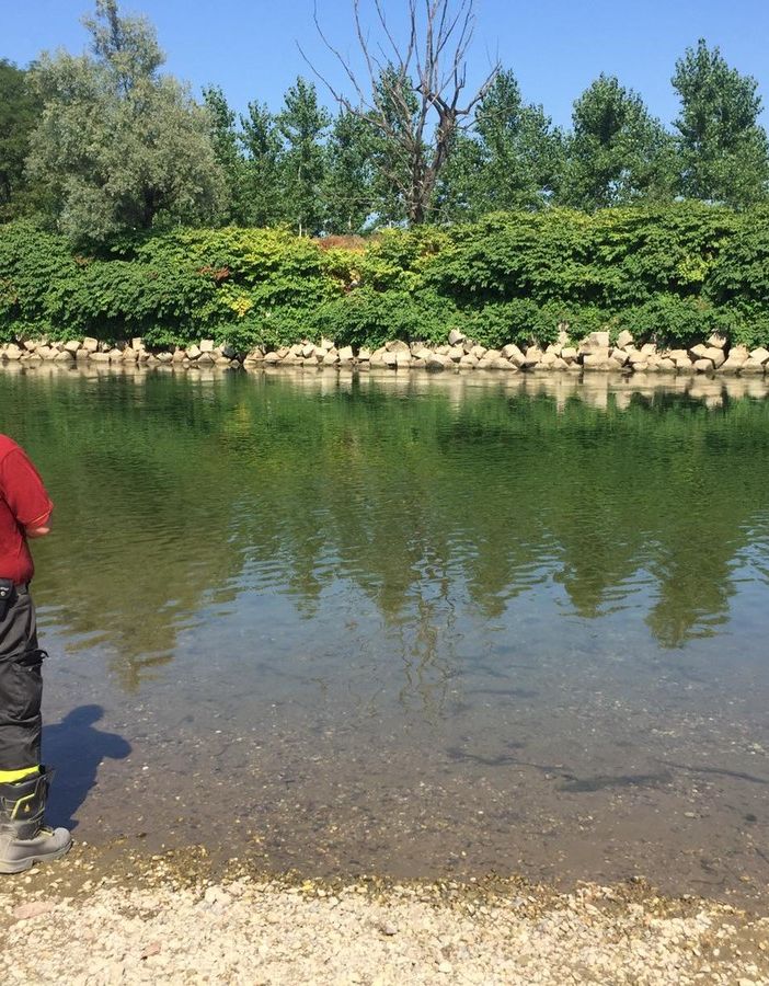 Tragedia a Candia Lomellina, 41enne accusa un malore e annega dentro al fiume Sesia